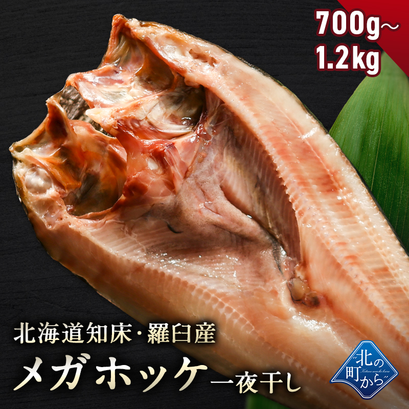 ̳ƻ ξ山 ᥬۥå 봳 750g1.2kg ۤä ۥå ۤä 山ۥå   С٥塼 BBQ    Ķ ᥬ