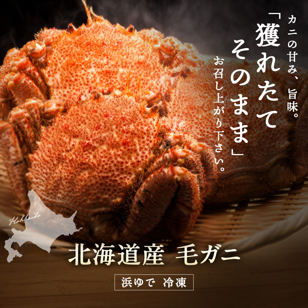 北海道産 毛ガニ 400g〜450g 【浜茹で...の詳細画像2