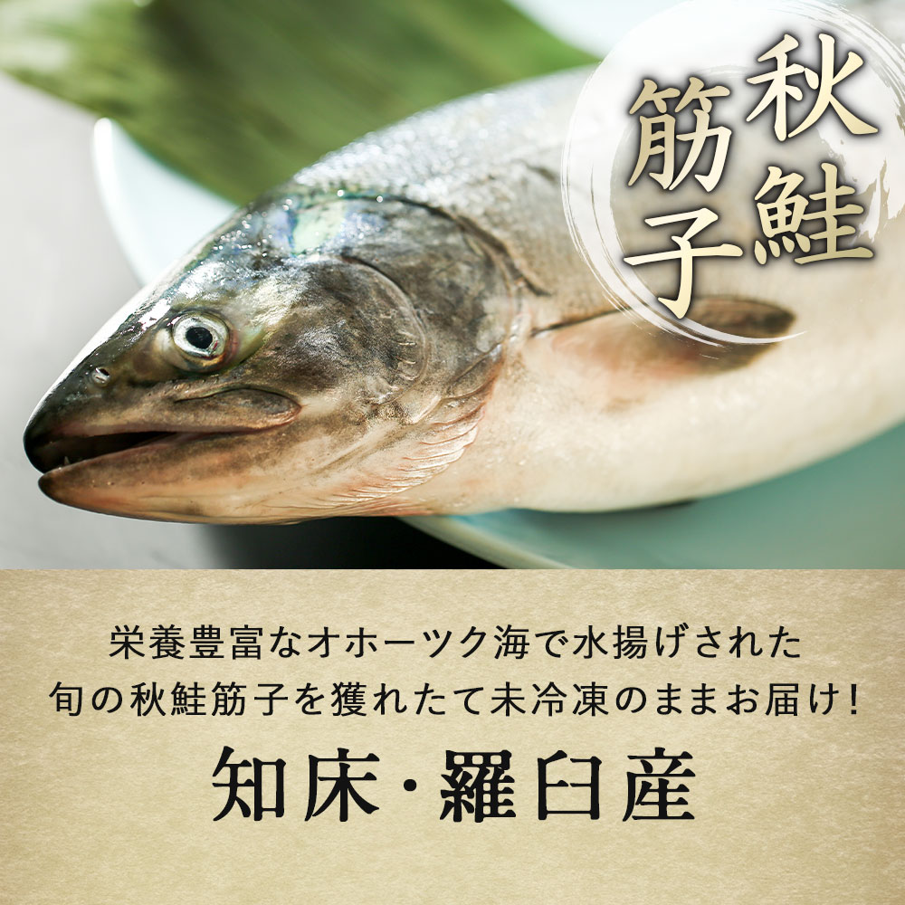 【ご予約商品】北海道 知床・羅臼産 生筋子 1kg 未冷凍 鮭筋子 筋子 鮭卵 天然  オホーツク海産【同梱不可】【水揚げ次第順次発送】【沖縄・離島へはお届け不可】