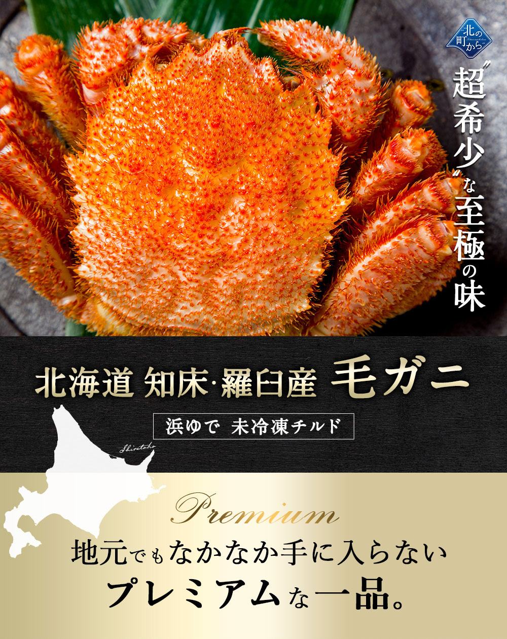 希少な北海道 知床産 450g〜500g 【浜茹で未冷凍 姿】毛蟹 毛がに カニ 【同梱・着日指定不可】【水揚げ次第順次発送(７営業日目安)】｜kitanomachi｜03