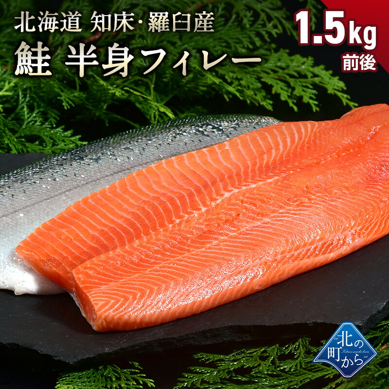 鮭 知床・羅臼産 鮭半身フィレー 1.3kg〜1.6kg 脂ものっており、クセが少なくとろっとして濃厚で甘みのある味です！｜kitanomachi