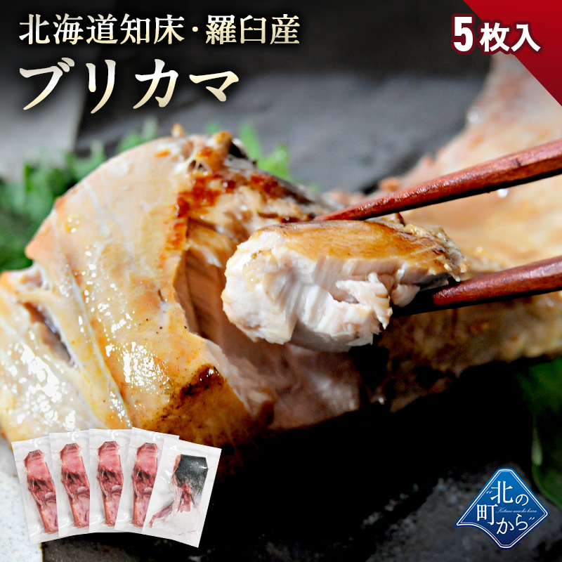ڴָ50OFF3,980ߢ1,990ߡ̳ƻ ξ山 ֥ꥫ 5 ֤꤫ ֥ 