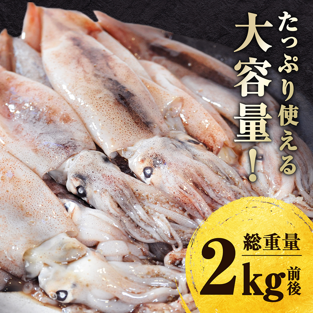 スルメイカ 2kg (20杯前後) 北海道 知...の詳細画像3