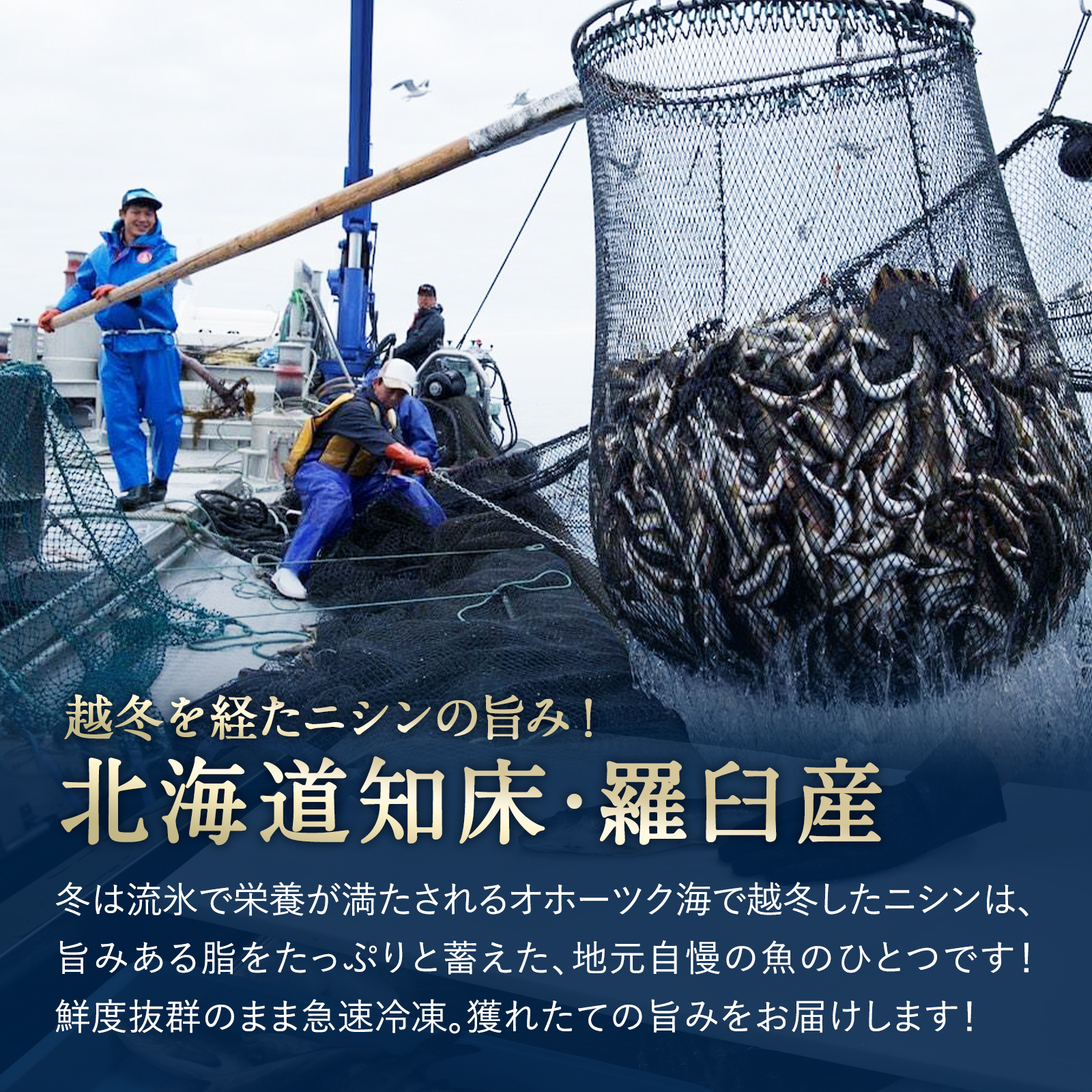 【期間限定50%OFF!7,960円⇒3,980円】北海道 知床・羅臼産 ニシンスティック 1.2kg(200g×6) にしん 鰊 魚 焼魚 焼くだけ おかず 国産 冷凍 小分け 送料無料 関連画像3
