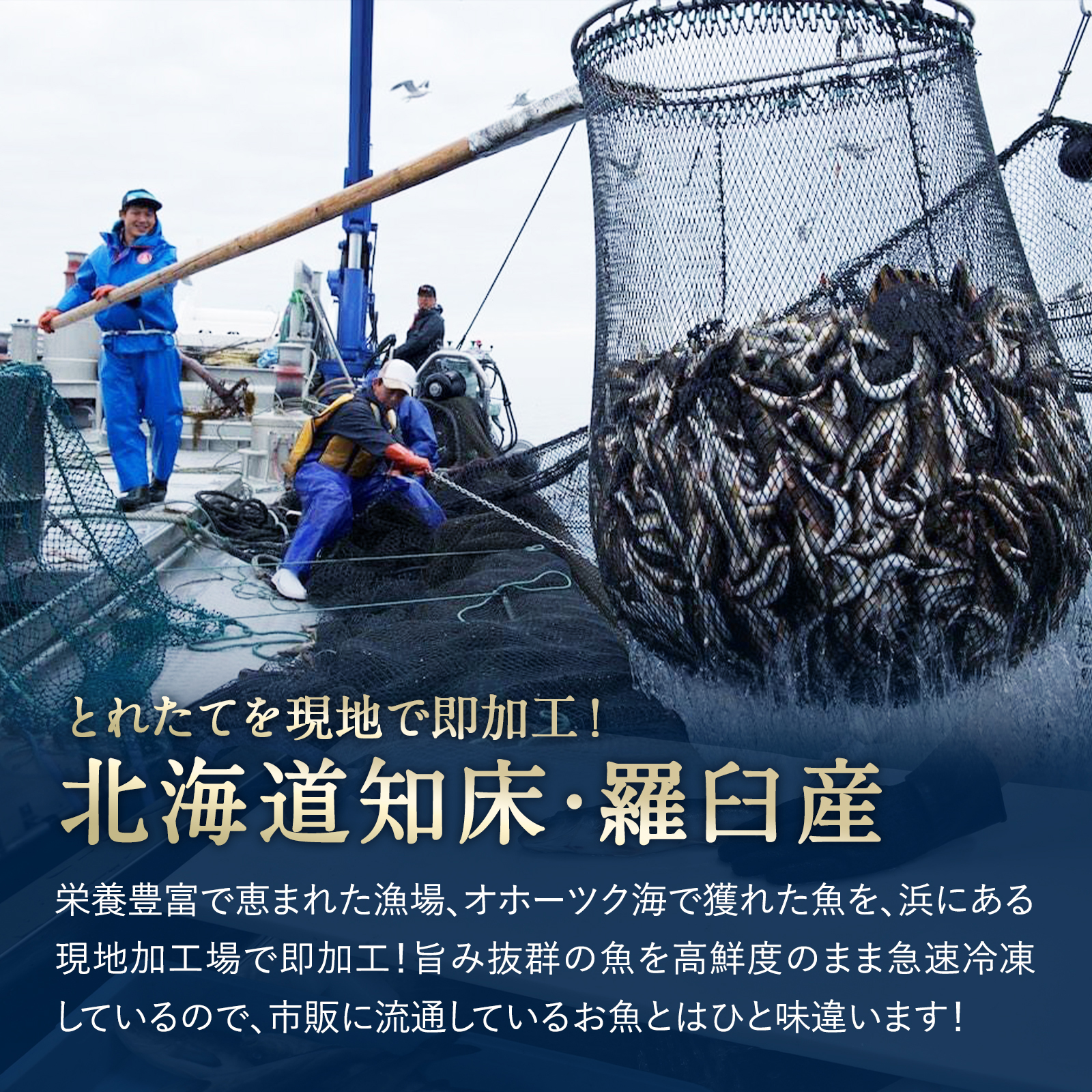 【期間限定50%OFF!7,960円⇒3,980円】北海道 知床・羅臼産 ホッケ・ニシンスティックセット 総重量800g(各400g) ほっけ にしん 魚 焼魚 焼くだけ 冷凍 小分け 関連画像4