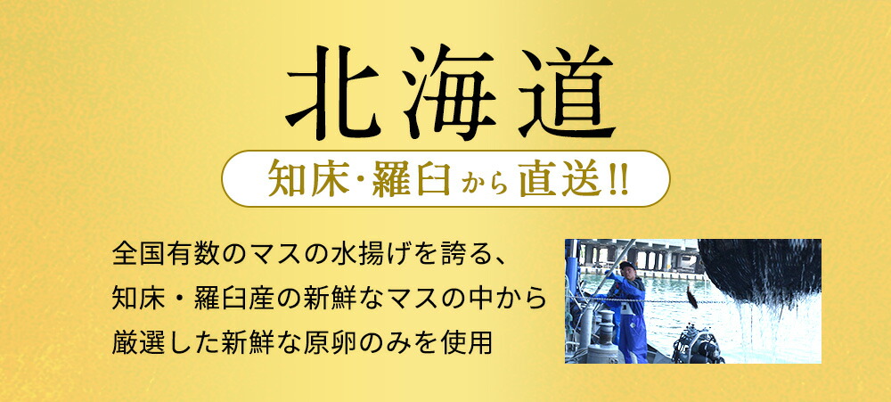 【マス筋子 塩漬け 500g 知床・羅臼産】鱒 マス筋子 塩漬け 500g 熟成されたコクや旨味！ すじこ スジコ｜kitanomachi｜04