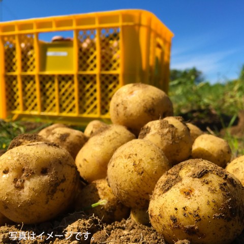 北海道の農産品