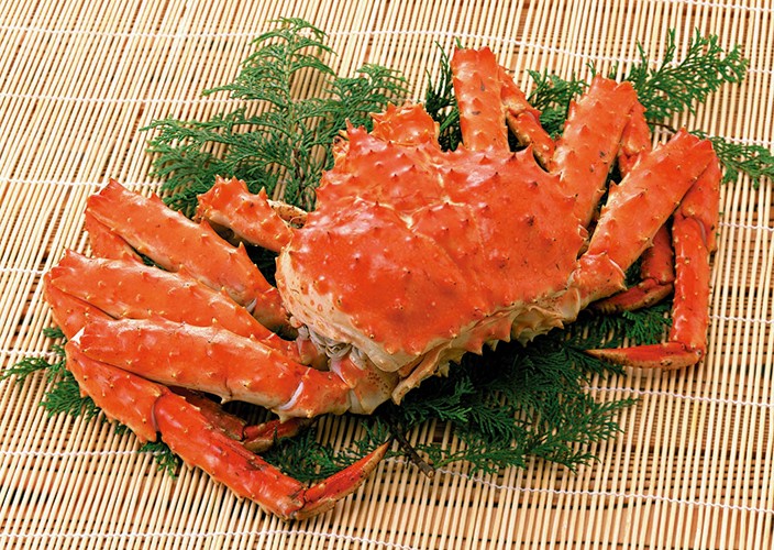 北海道の海産品