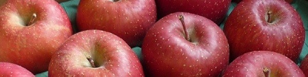 北信州のりんごやさん
