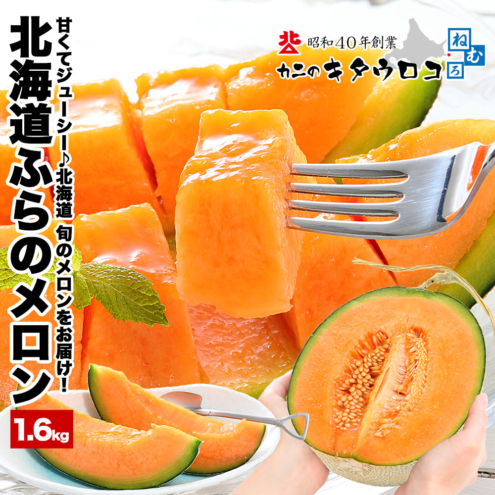 JAふらの 予約 富良野 メロン 約1.6kg 1玉 お中元 ギフト 北海道産
