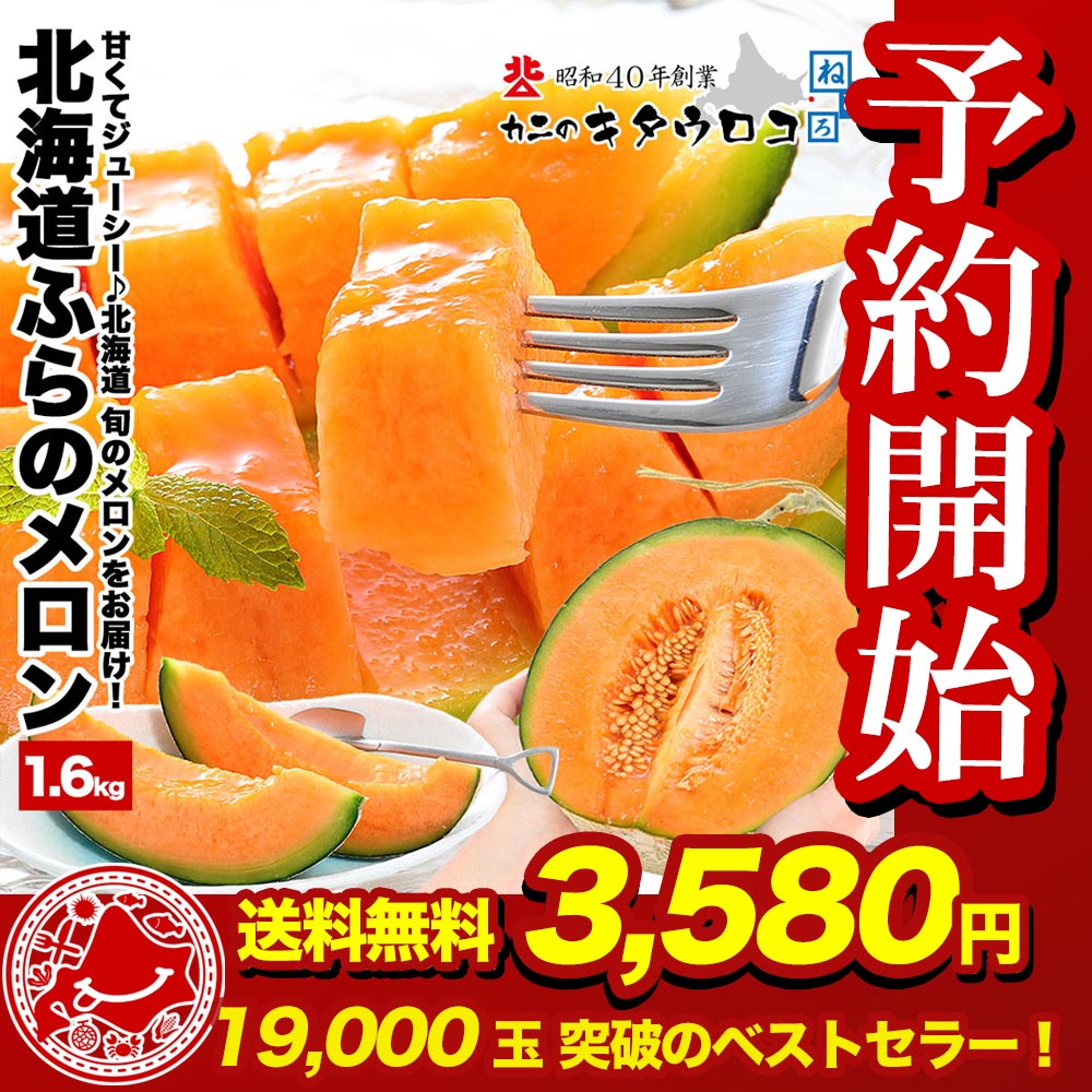 JAふらの 予約 富良野 メロン 約1.6kg 1玉 お中元 ギフト 北海道産