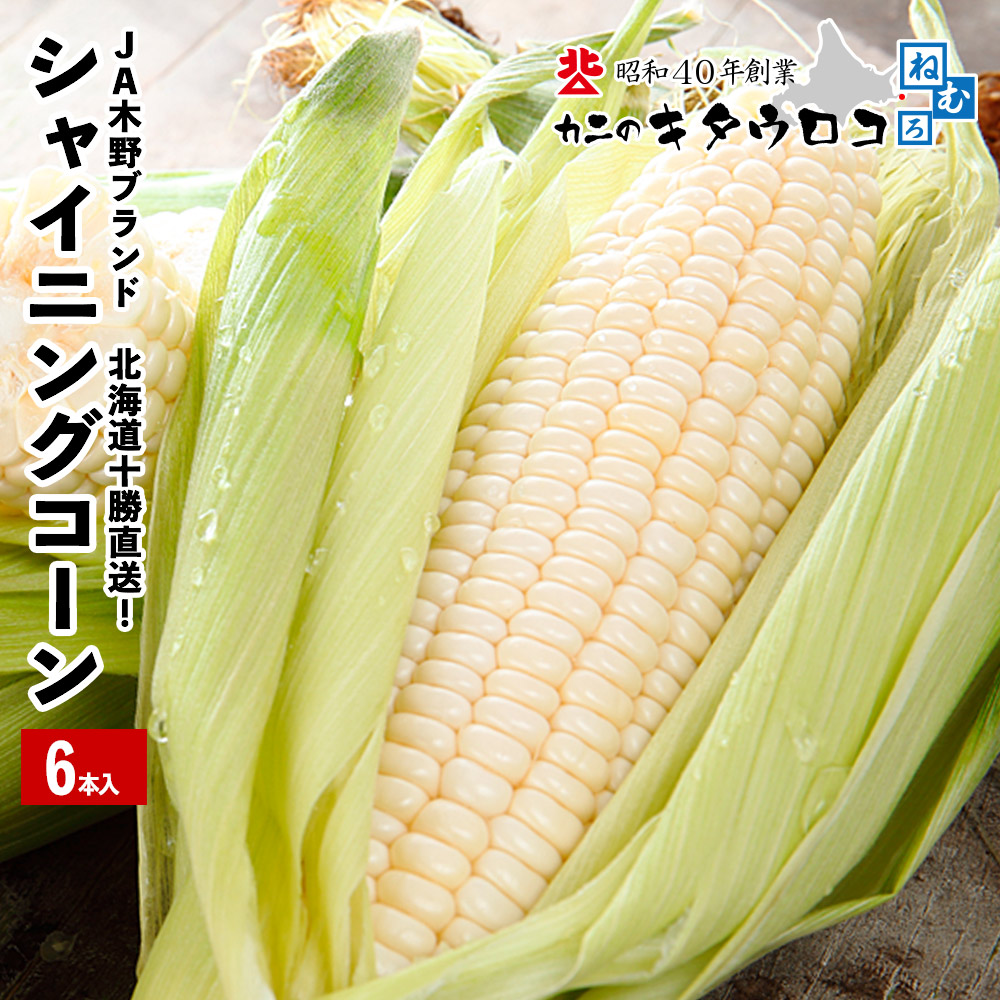 予約 早割 とうもろこし ゴールドラッシュ 10本入 朝もぎ 生でも食べ