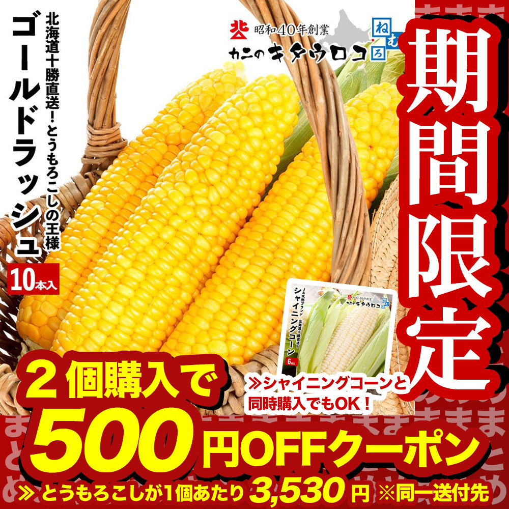 予約 とうもろこし ゴールドラッシュ 10本入 朝もぎ 生でも食べられる 
