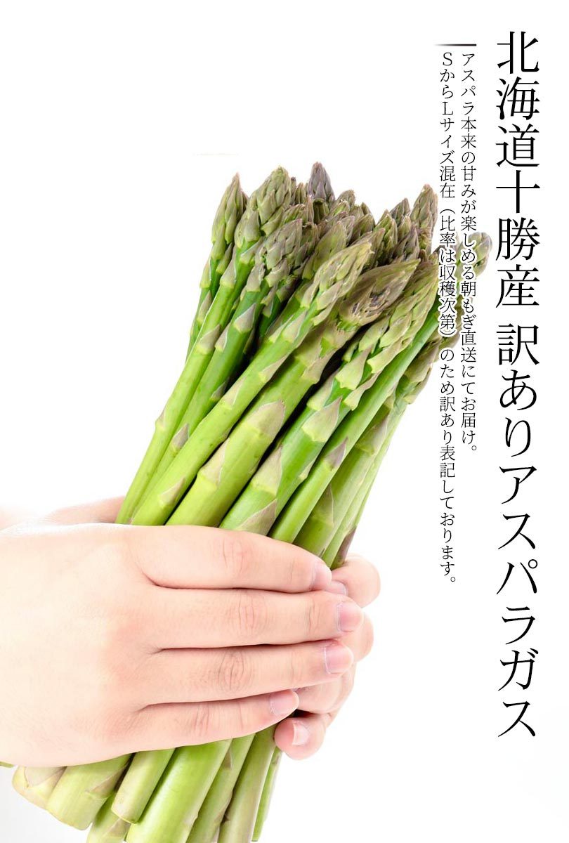 ファッションの 販売期間2023 07 31まで 訳あり 野菜 アスパラガス 訳