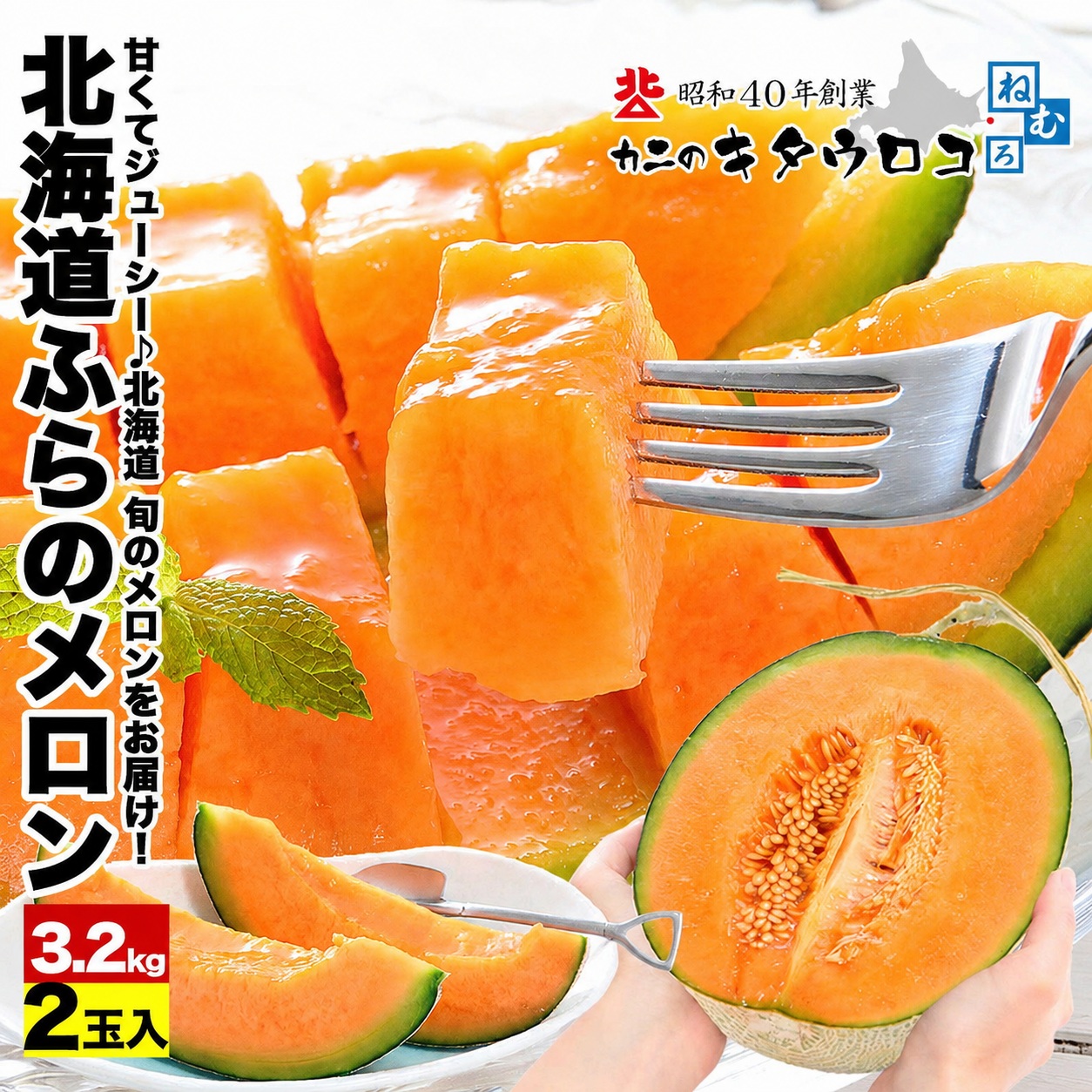 JAふらの 予約 富良野 メロン 約1.6kg 1玉 お中元 ギフト 北海道産