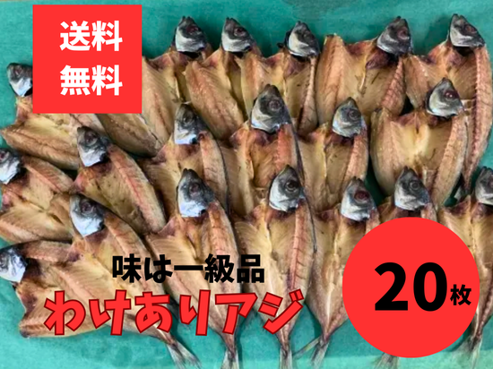 訳ありアジ開き 20枚セット (大容量) 鹿児島県志布志産 干物 鯵 あじ お買い得 セット