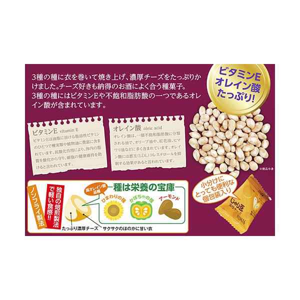 チーズを纏った大人の豆菓子　2袋　東海農産　トーノー　チーズ　レターパック配送