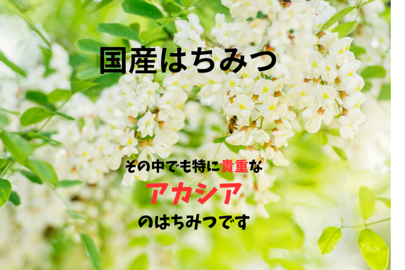 南川養蜂場はちみつ 国産 アカシア チューブ250g2本 合計500g 志布志市 蜂蜜ハチミツ レターパック配送