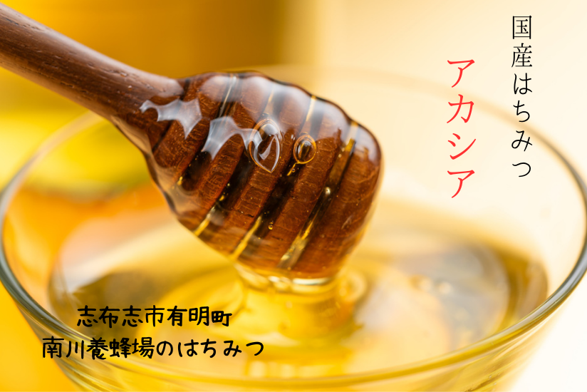 南川養蜂場はちみつ 国産 アカシア チューブ250g2本 合計500g 志布志市 蜂蜜ハチミツ レターパック配送