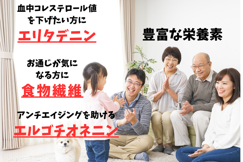 南川養蜂場はちみつ 国産 アカシア チューブ250g2本 合計500g 志布志市 蜂蜜ハチミツ レターパック配送