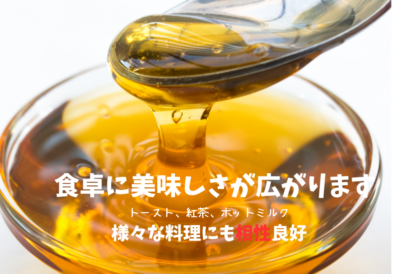 南川養蜂場はちみつ 国産 アカシア チューブ250g2本 合計500g 志布志市 蜂蜜ハチミツ レターパック配送