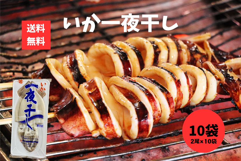 イカ一夜干し 10袋 いか マルヨ水産 イカ 一夜干し