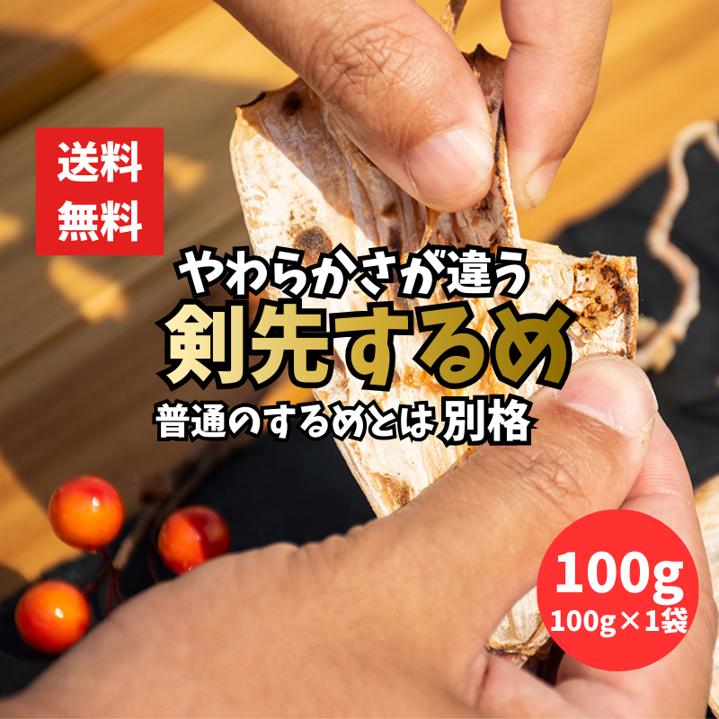 剣先するめ 100g 1袋 スルメ けんさき いか イカ ポスト投函
