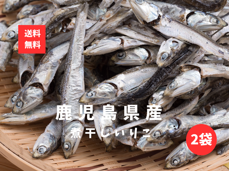 いりこ煮干し 2袋 鹿児島県産 いりこ レターパック配送
