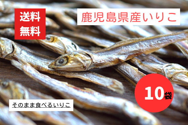 鹿児島県産 食べるいりこ 10袋 極上煮干し おつまみ 出汁 片口いわし