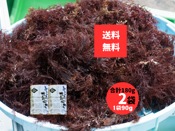 ところてんぐさ 長崎県産 天草 90g×2袋 国産 天然 てんぐさ ところてんの素 手作り用 無添加 食物繊維 レターパック配送