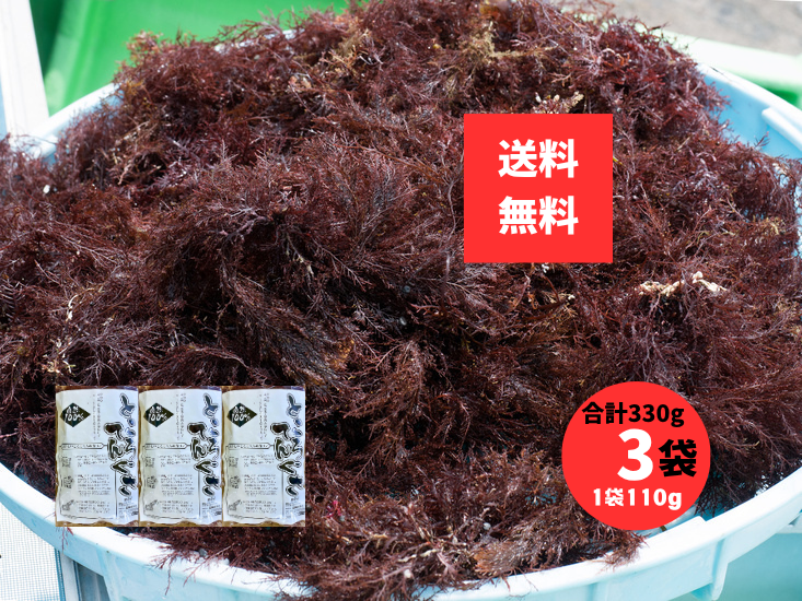 ところてんぐさ 長崎県産 天草 110g 国産 天然 てんぐさ ところてんの素 手作り用 無添加 食物繊維