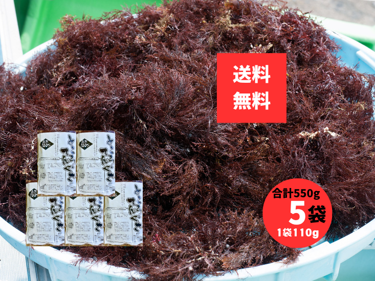 ところてんぐさ 長崎県産 天草 110g×5袋 合計550g 国産 天然 てんぐさ ところてんの素 手作り用 無添加 食物繊維