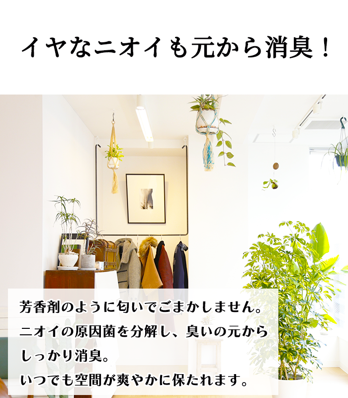 ドクターケアサプレス