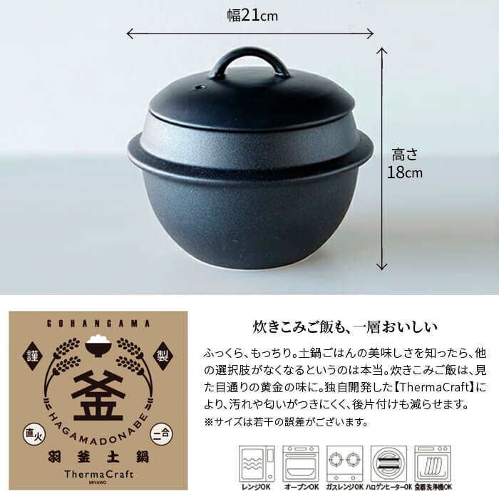 羽釜土鍋 ご飯土鍋 2合炊き 1.6L 電子レンジ対応 丸利玉樹利喜蔵商店 T-789551 ブラック 黒 : 223-4506 : アドキッチン -  通販 - Yahoo!ショッピング