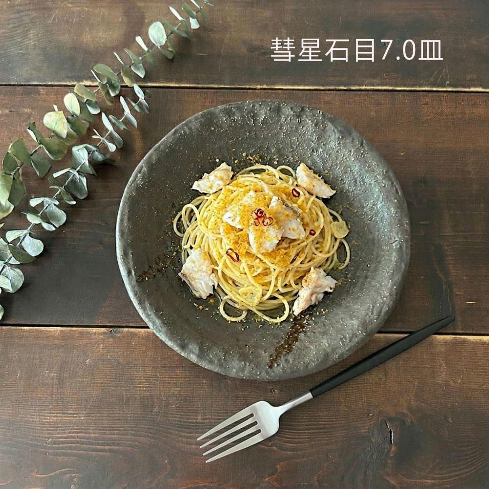 和食器 おしゃれ 丸皿 彗星 石目 7.0皿 22.5cm 中皿 パスタ皿 サラダ皿 主菜皿 プレート モダン 美濃焼 日本製 | 