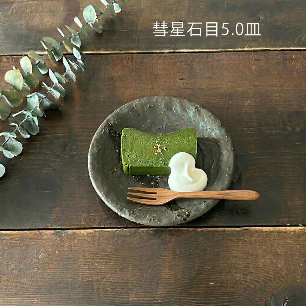 和食器 おしゃれ 小皿 彗星 石目 5.0皿 16.3cm 取皿 ケーキ皿 サラダ皿 副菜皿 プレート モダン 美濃焼 日本製 | 