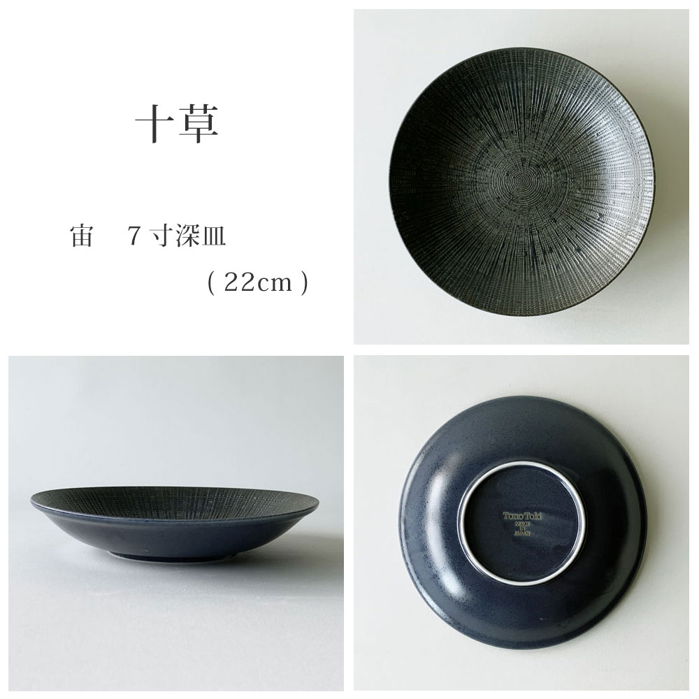 深皿 パスタ皿 おしゃれ 宙 22.0cm 7.0深皿 麺皿 カレー皿 和食器 美濃焼 日本製 |  | 08
