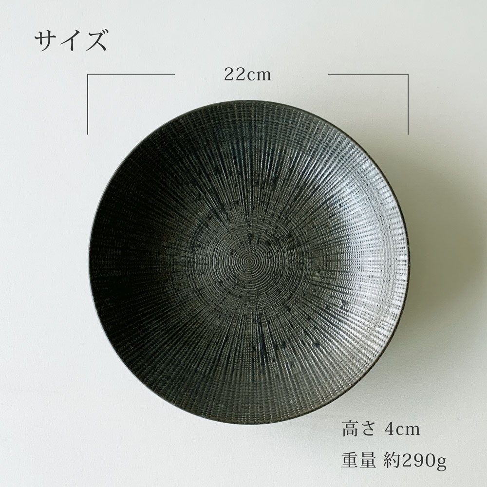 深皿 パスタ皿 おしゃれ 宙 22.0cm 7.0深皿 麺皿 カレー皿 和食器 美濃焼 日本製 |  | 09