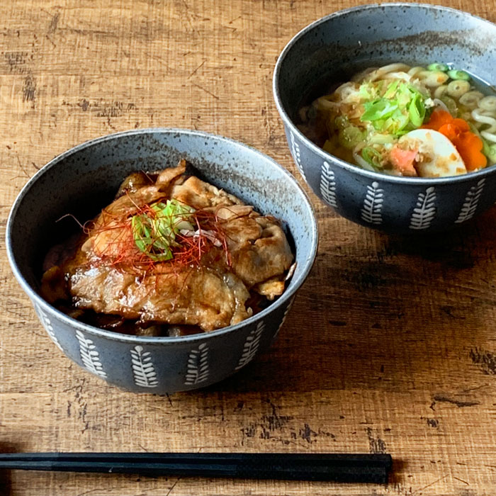 丼 おしゃれ スプラウト ぶっかけ 16.0cm どんぶり 丼ぶり カフェ風