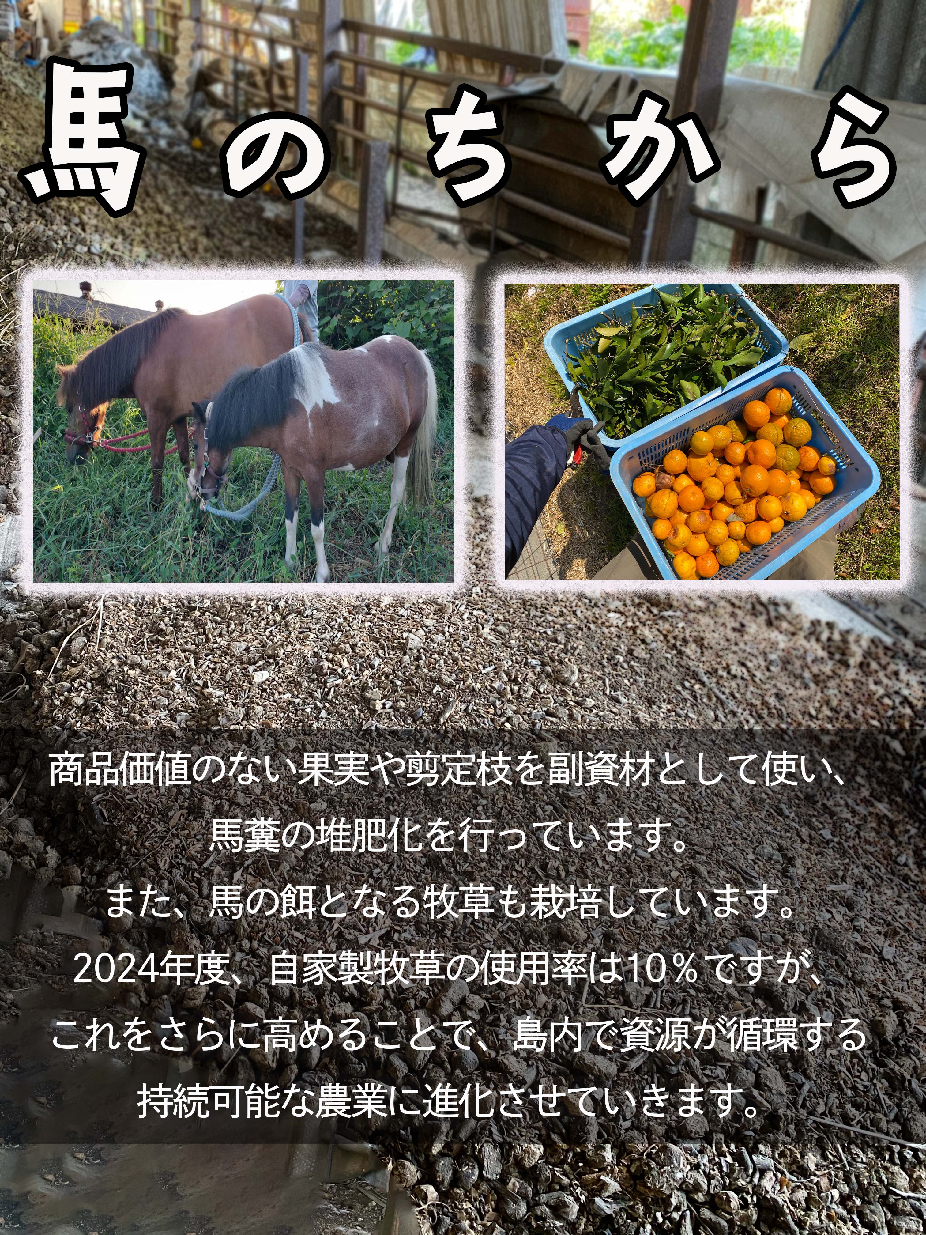 島馬ファーム瀬戸内 - Yahoo!ショッピング