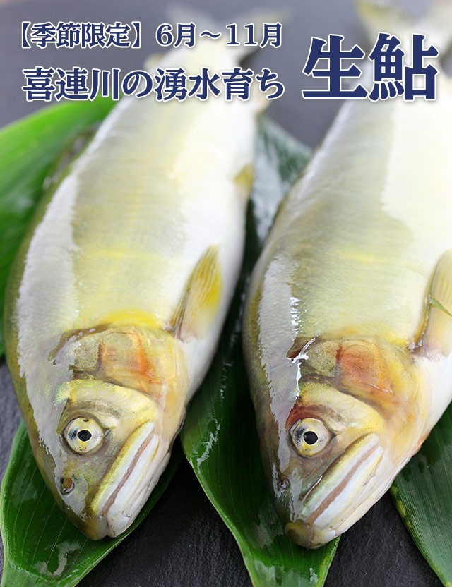 きつれがわの湧水育ちの生鮎