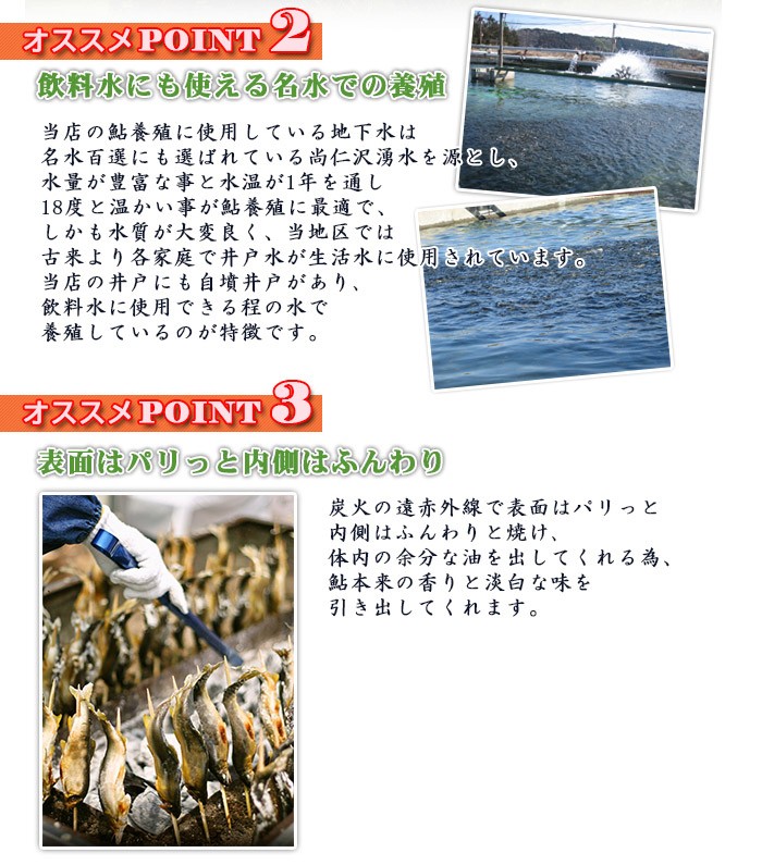 栃木県産鮎使用 鮎の詰め合わせ