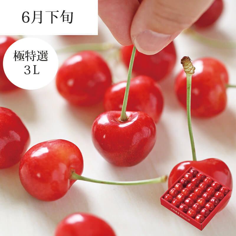 さくらんぼ やまがた紅王 特選 バラ詰め 2L 700g 6月下旬お届け | 山形