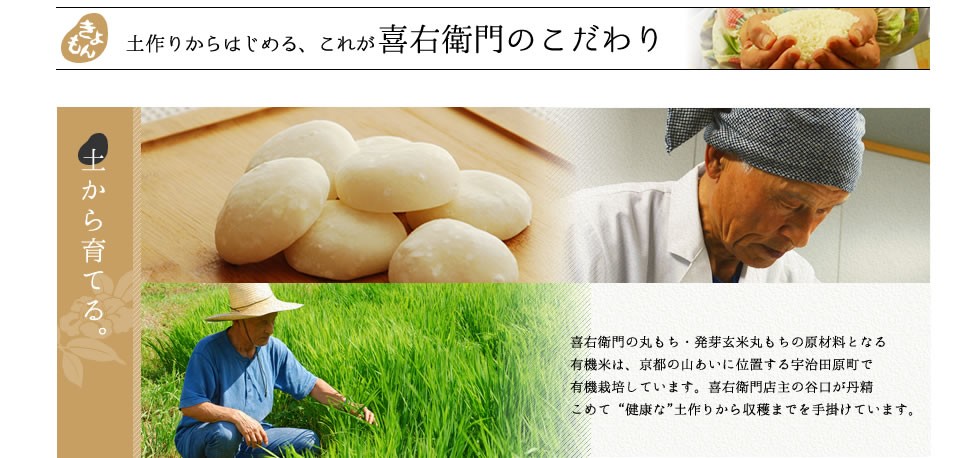 ミネラルの多く含んだ健康な作物を作るには土壌を健康にすることが