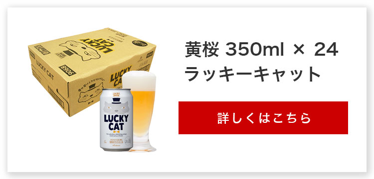 逆輸入 350ml 黄桜 クラフトビール ＬＵＣＫＹ 6 缶 6本 地ビール 19限定5