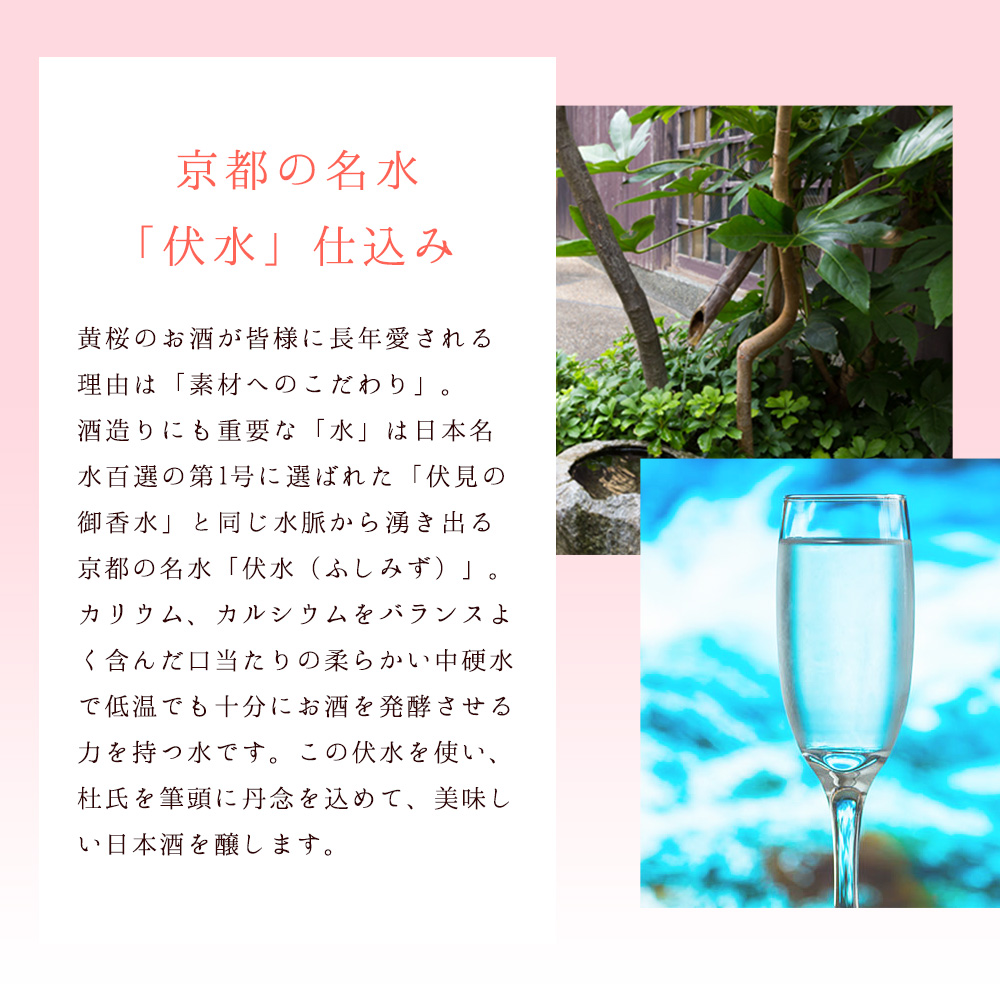 父の日 日本酒 お酒 ギフト 黄桜 ピアノ 300ml 2本セット スパークリング 酒 プレゼント｜kizakura｜06