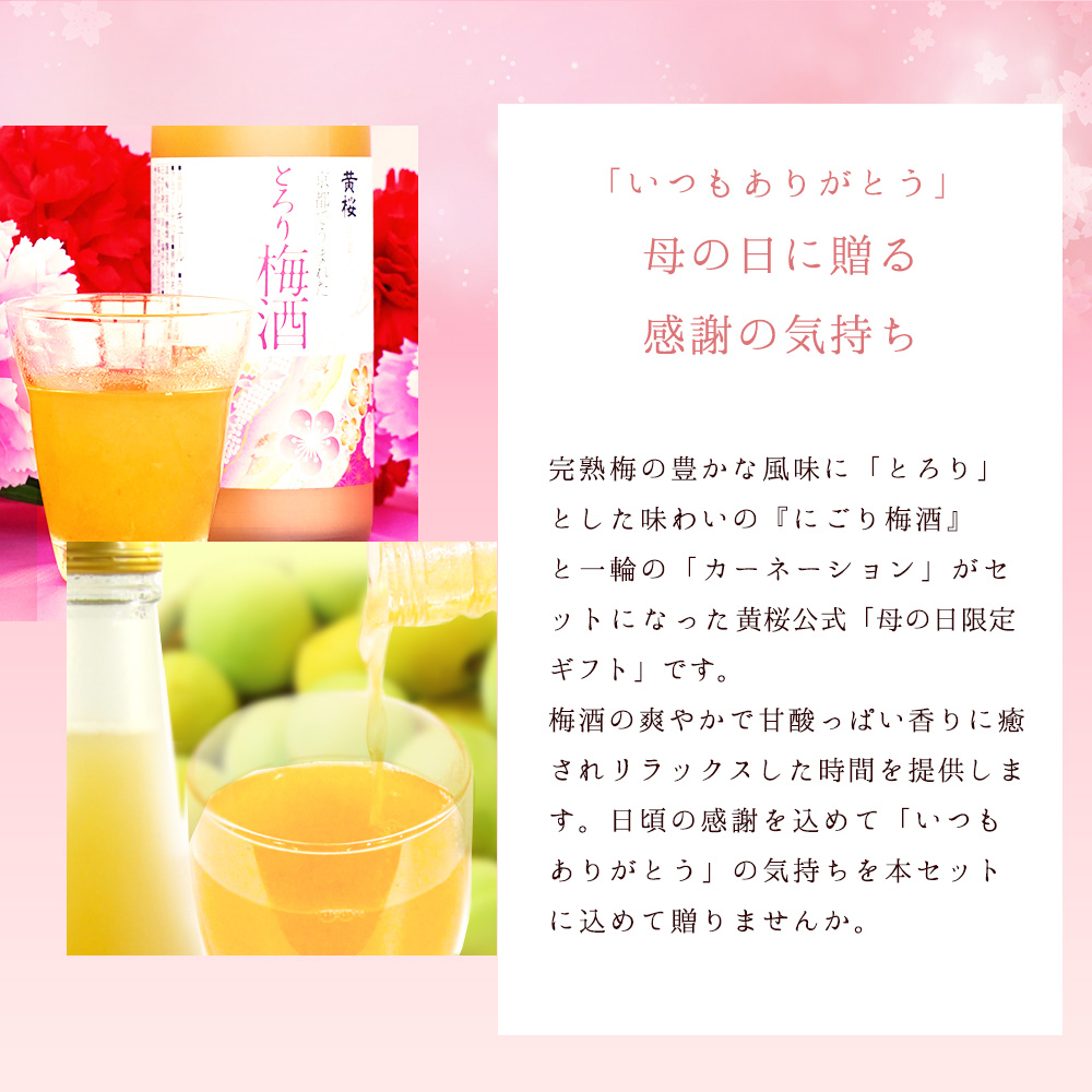 母の日 梅酒 黄桜公式 梅酒ギフト セット お酒 カーネーション 花 プレゼント｜kizakura｜03
