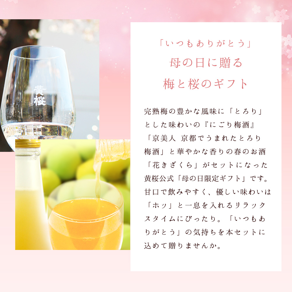 母の日 梅酒  父の日 ギフト 日本酒 黄桜公式 梅さくらセット 2本 お酒 飲み比べ プレゼント｜kizakura｜03