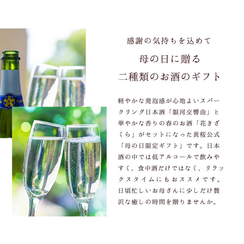 母の日 日本酒 お酒 ギフト プレゼント 黄桜 泡さくらセット 飲み比べ｜kizakura｜03