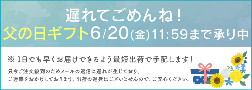 遅れてごめん